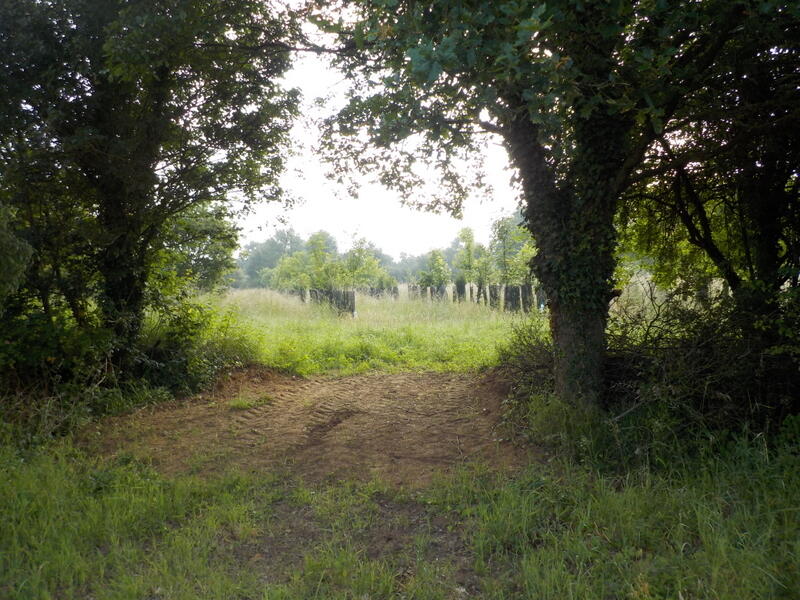 2014_haie_champetre (2)