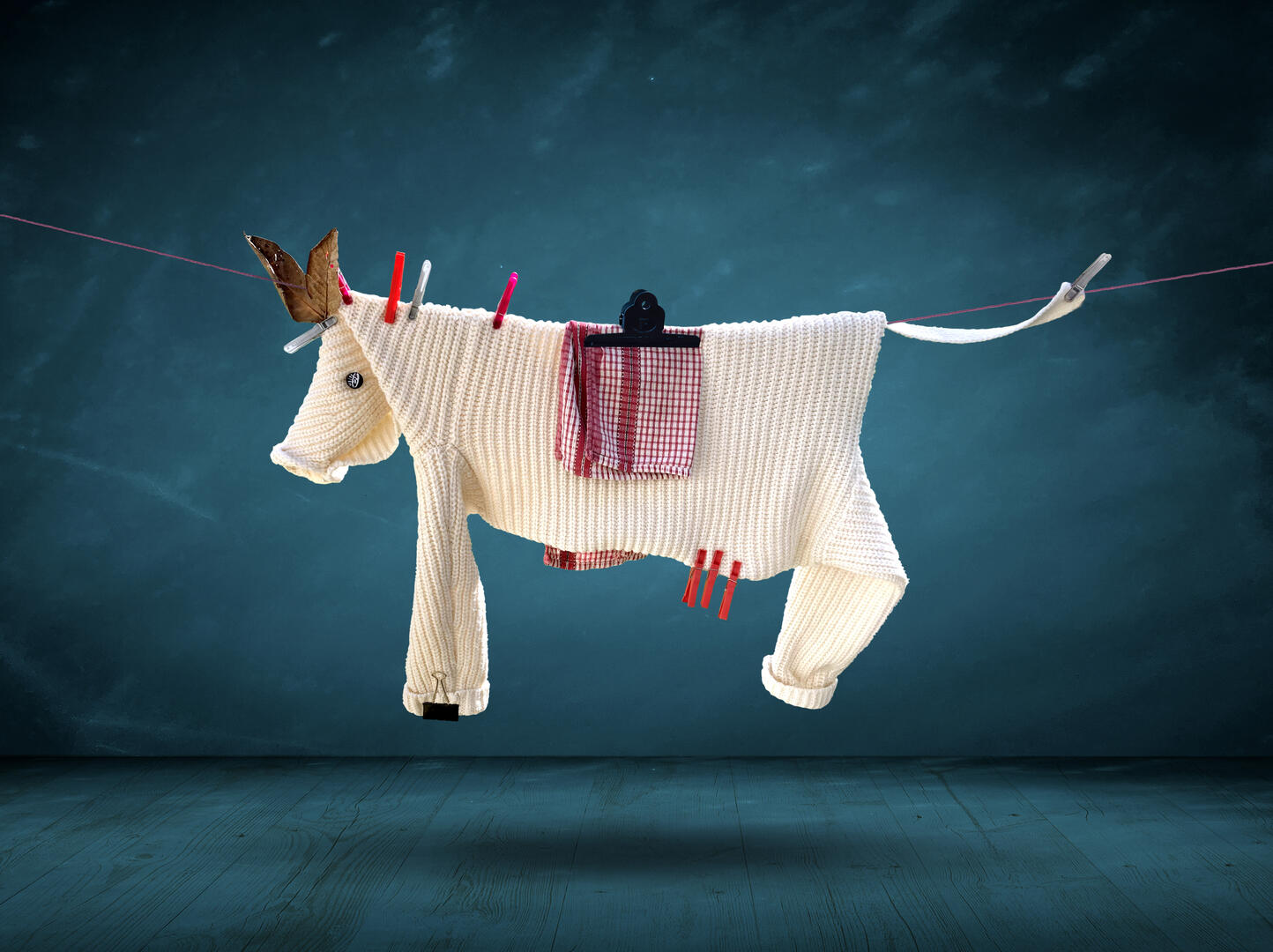 cordalinge-espace-de-retz-machecoul-saint-meme-44-fma-1