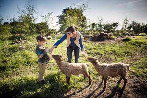 25 - La ferme d'Emilie ANIMATIONS - 01