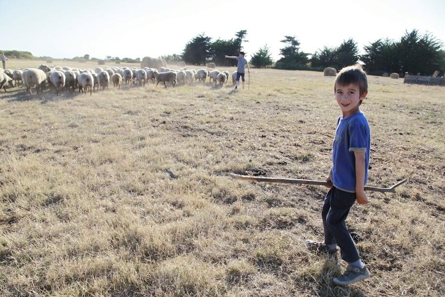25 - La ferme d'Emilie ANIMATIONS - 07