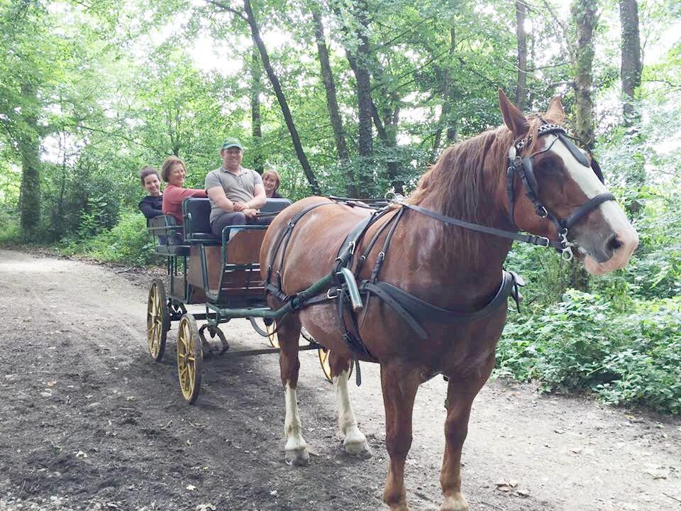 288527_balade1