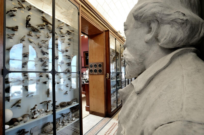 Visite_Musée_Joseph_Denais-49-FMA-photo1