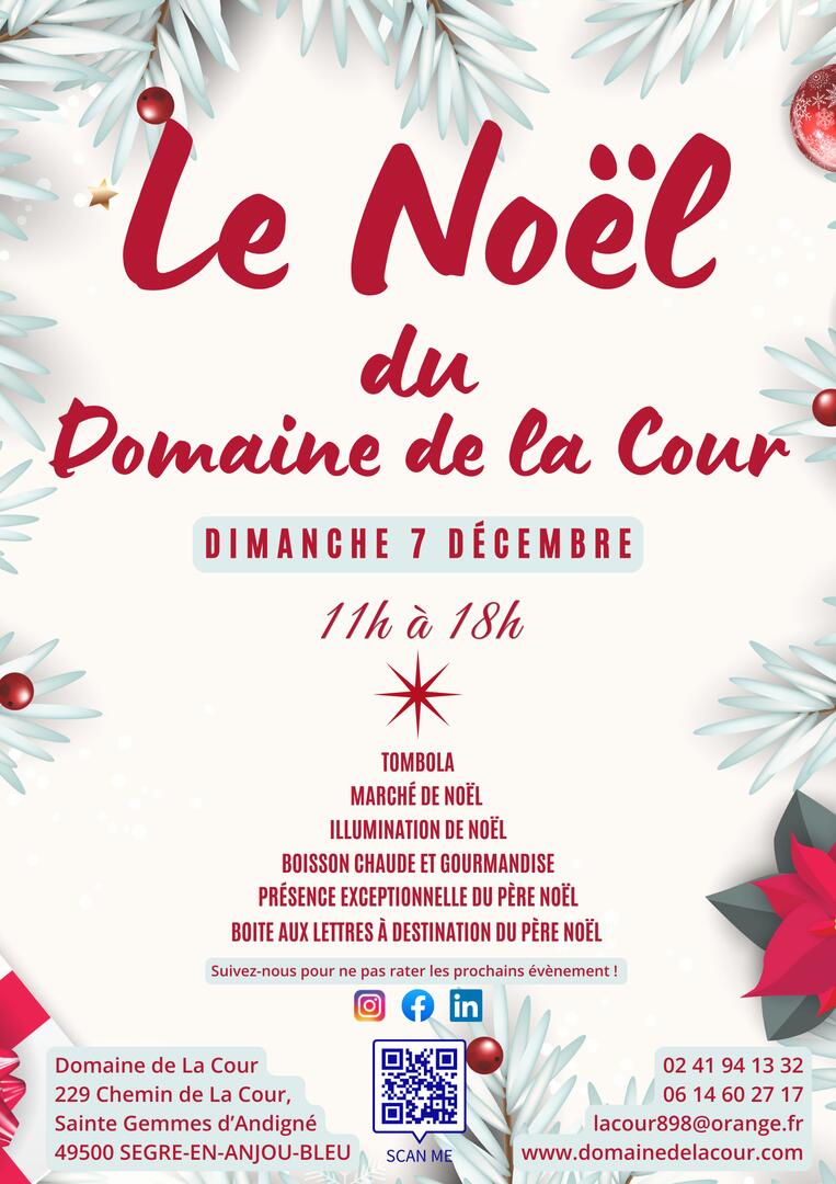Noël domaine de la Cour - Ste-Gemmes-d'Andigné - FMA - 49