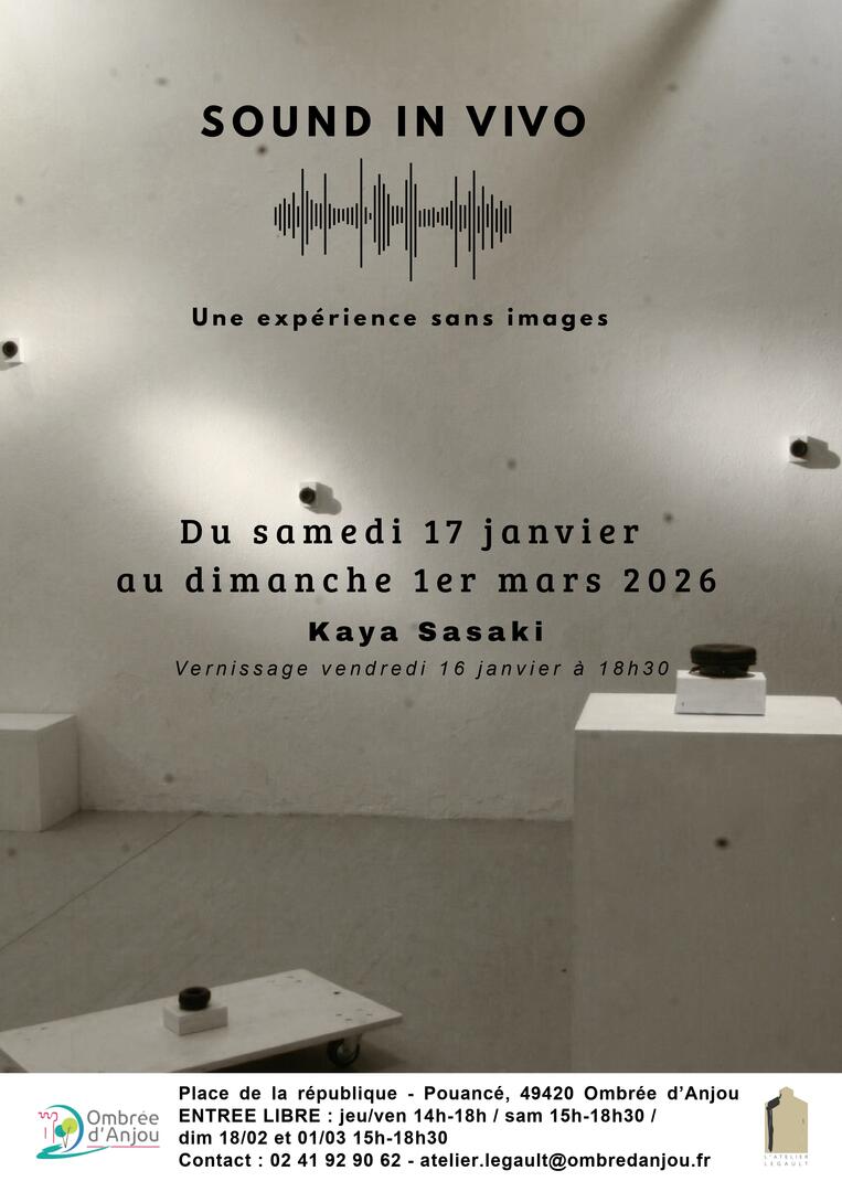 Sound_in_Vivo-49-FMA-photo