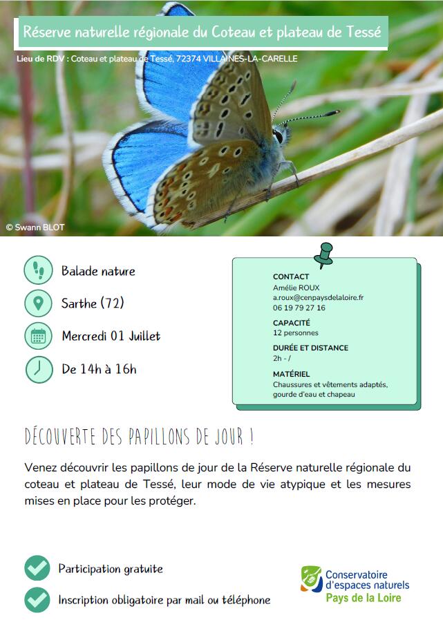 Animation papillon CEN