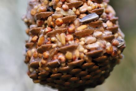 Les_Petites_Pépites_de_l'Automne-49-FMA-photo2