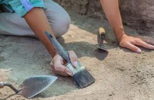 Capture d'écran 2026-03-31 172747