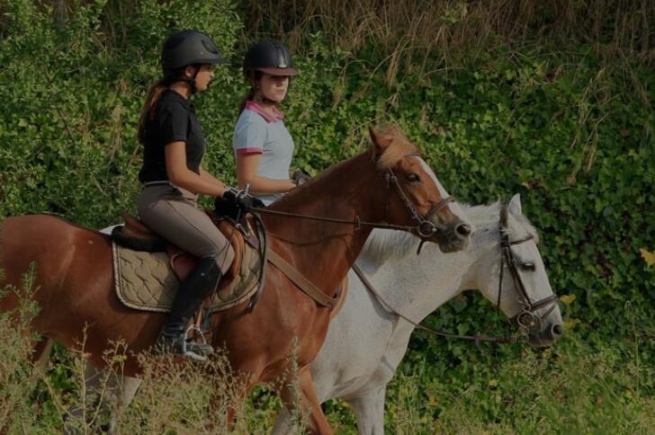 Centre-equestre-La-Montglonnière1