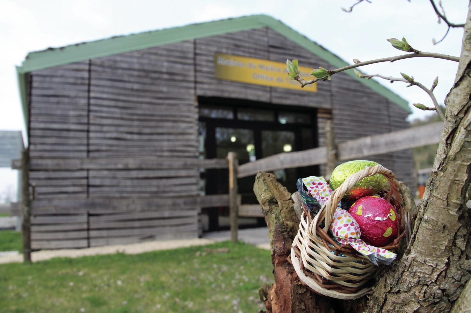 CHASSE AUX OEUFS