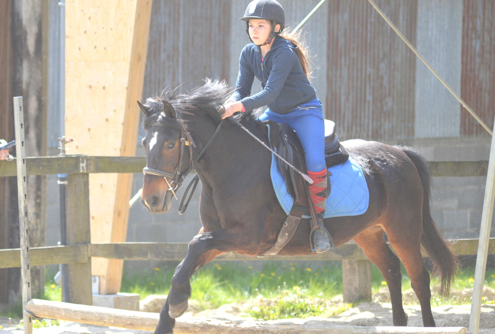 Écuries de la Montglonnière - St-Martin-du-Bois - 49 - LOI