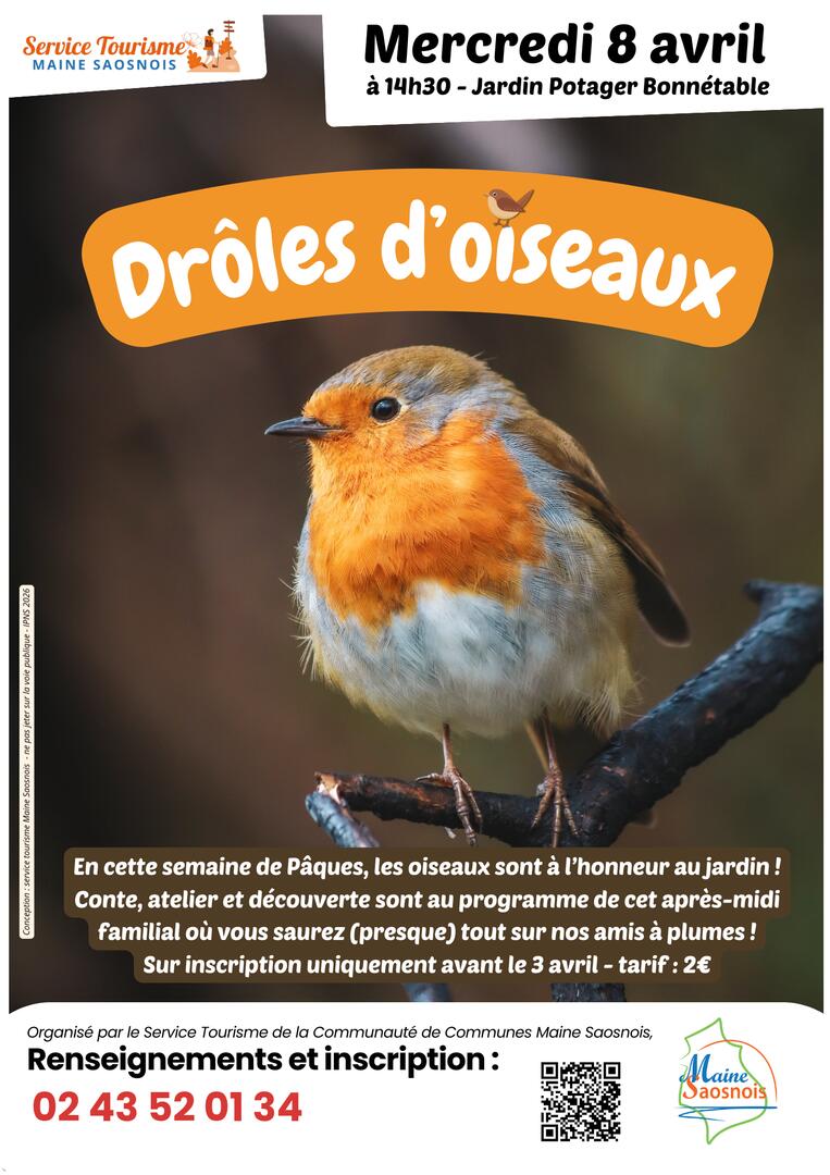 Drôles d'oiseaux