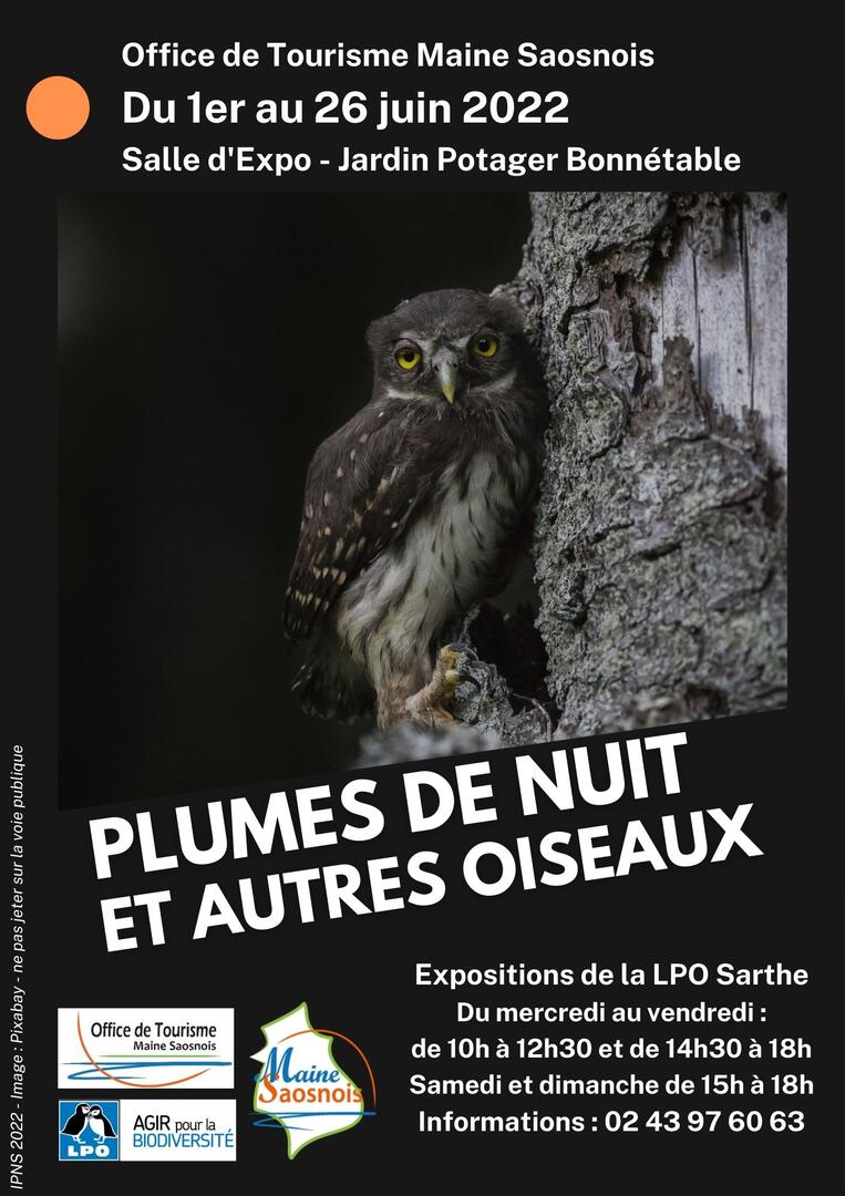 Affiche exposition plumes de nuit et autres oiseaux