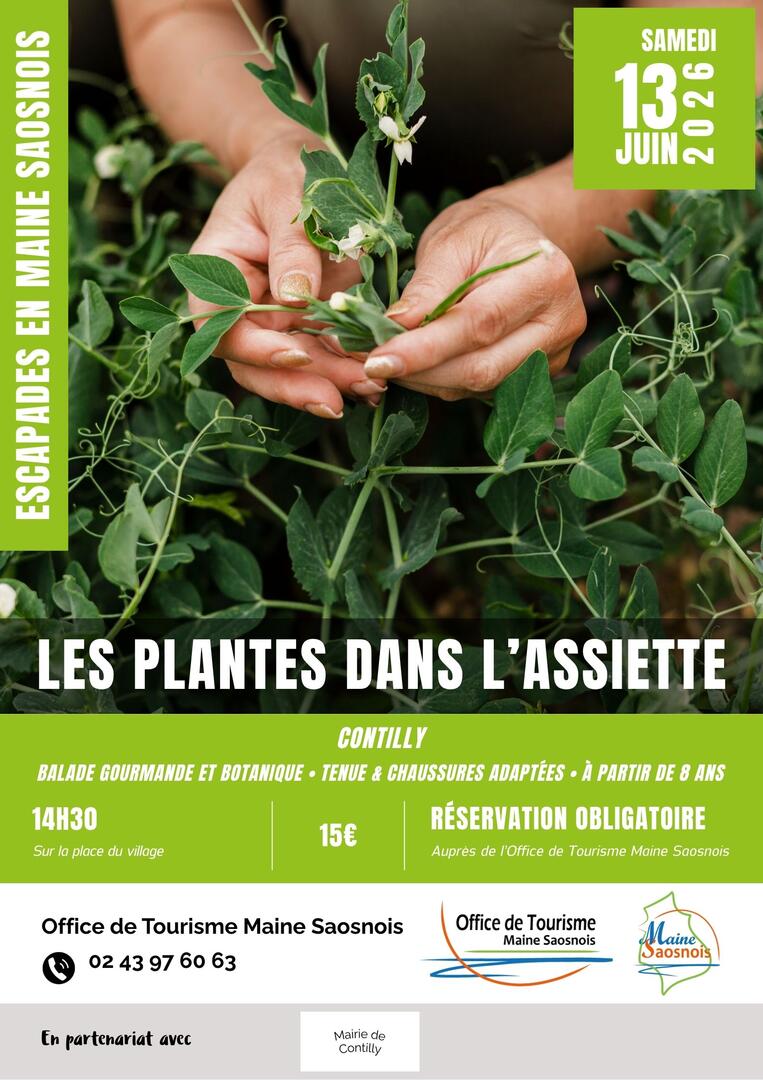 EMS2026_Affiches - Les Plantes dans l'assiette