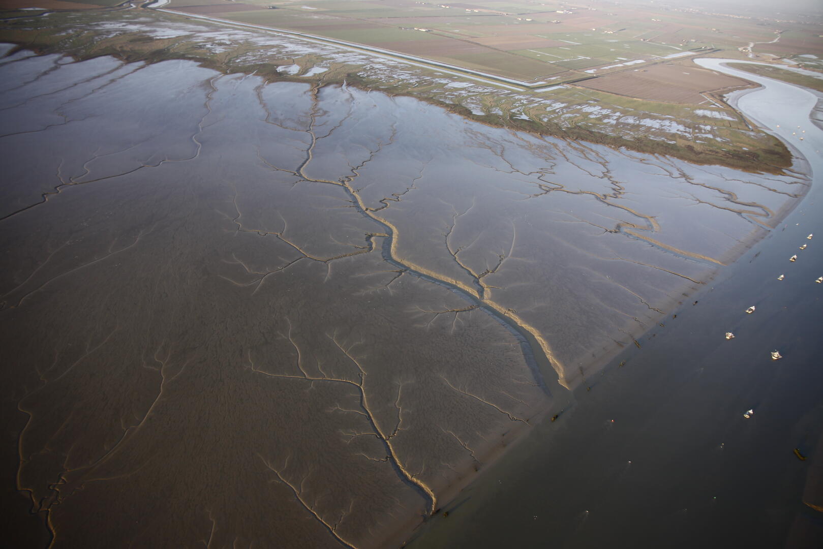 RNN Baie de l'Aiguillon-Sainte-Radégonde-des-Noyers -Estuaire de la Sèvre Niort