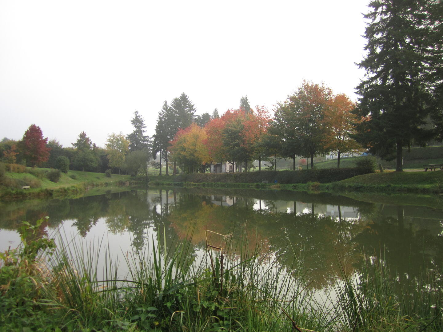 Etang Saint-mars-sur-la-futaie 3