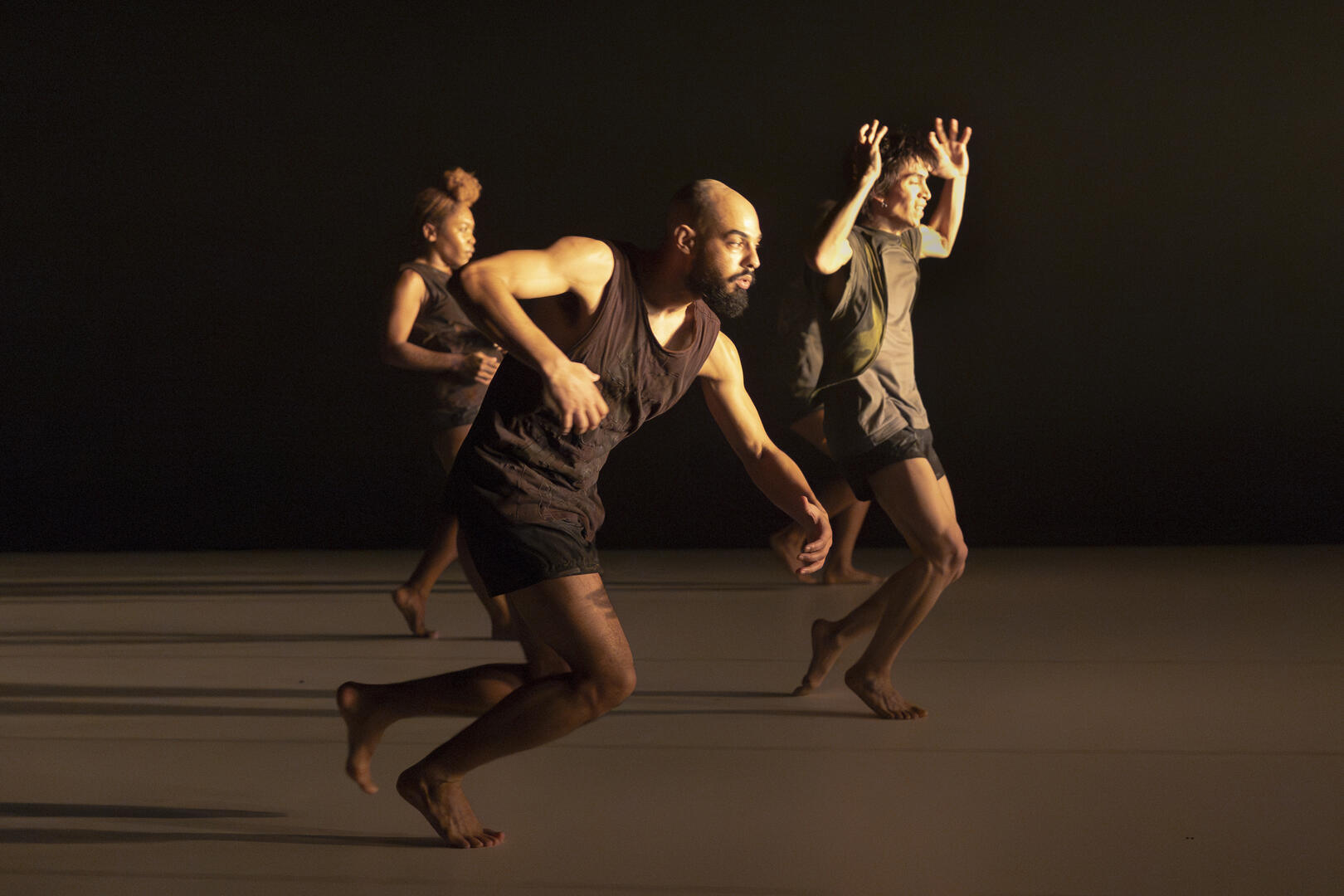 Gounouj Le Cargo 2026 - Segré - FMA - 49