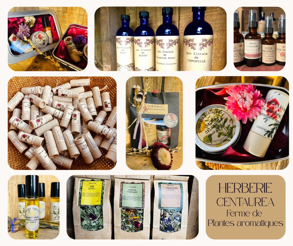 Herberie-Centaurea-Juvardeil-DEG-49-photo1