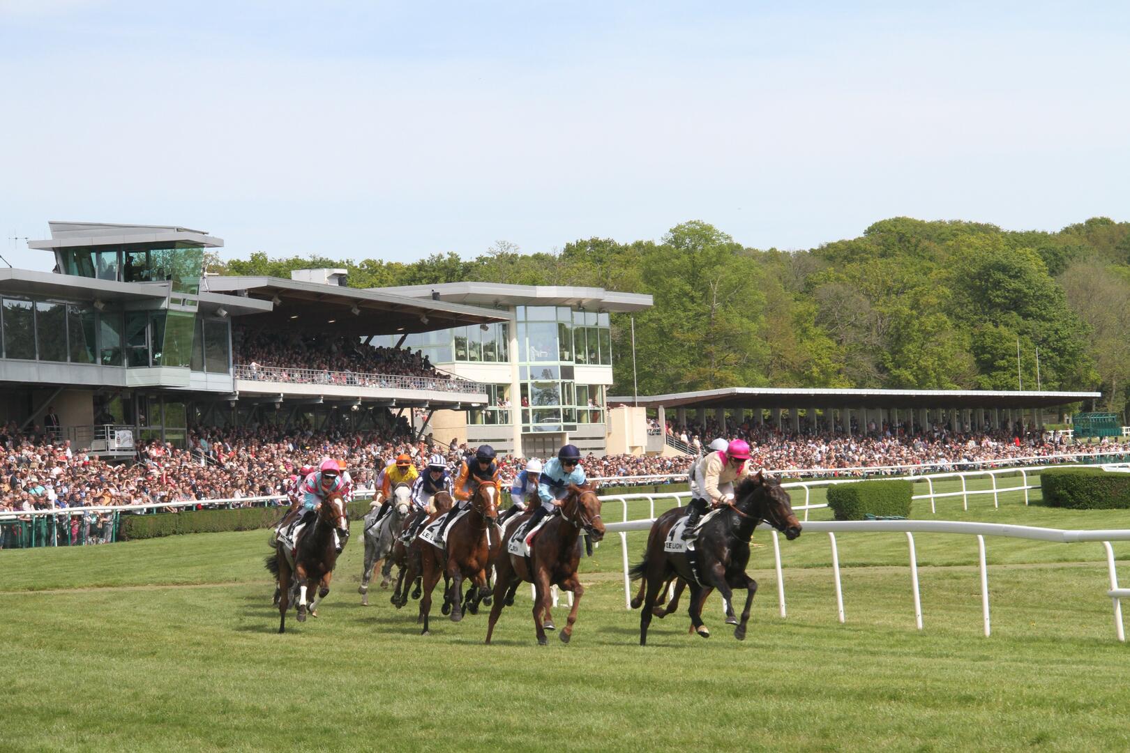 hippodrome-des-courses-le-lion-d'angers-fma
