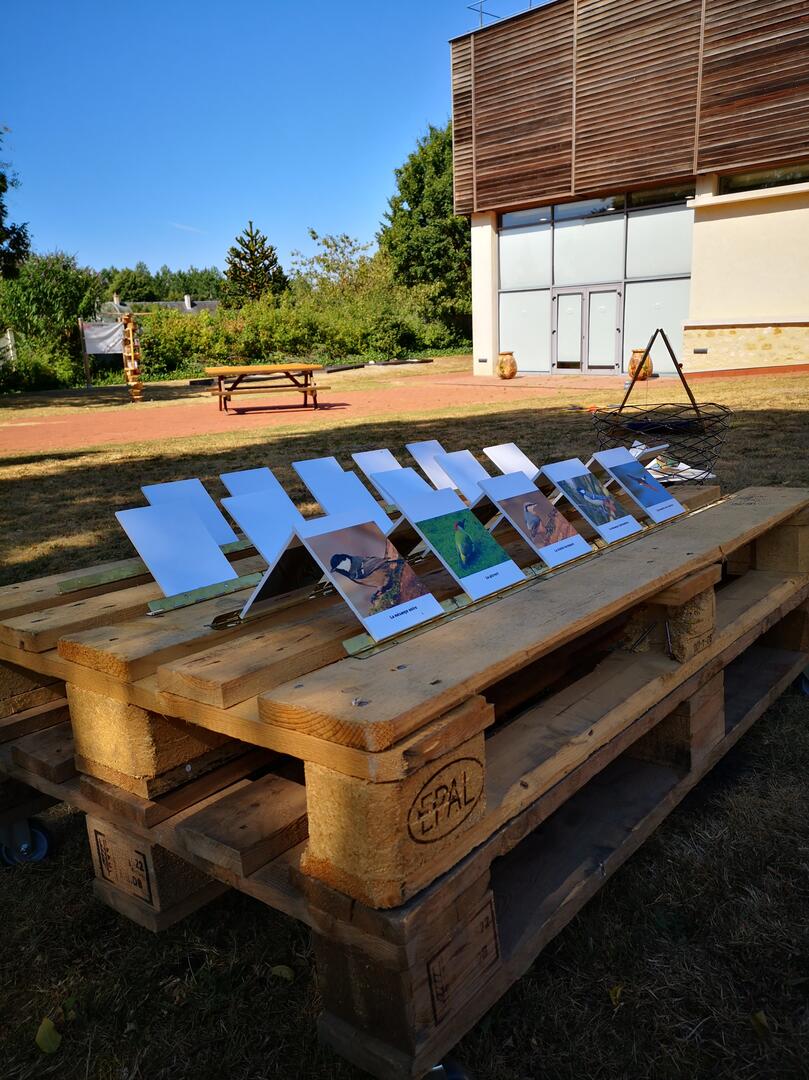 Jeux au jardin