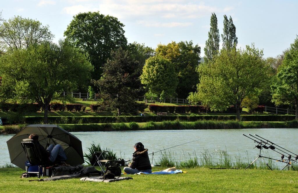 Pêche sur le plan d'eau