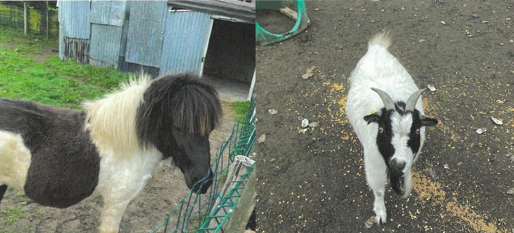 La ferme du bonheur