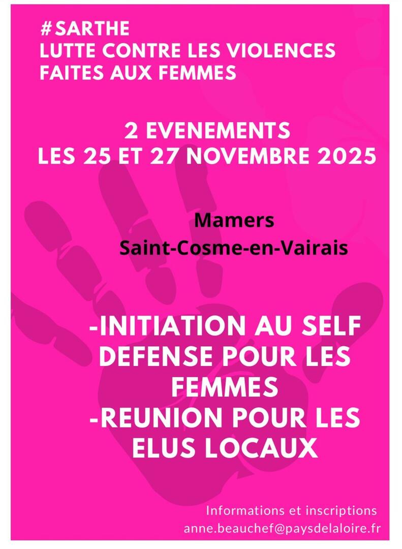 Lutte contre violences aux femmes 1