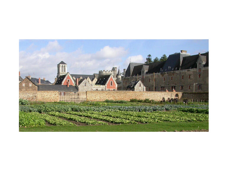 PCU49-Jardin potager de Challain-1