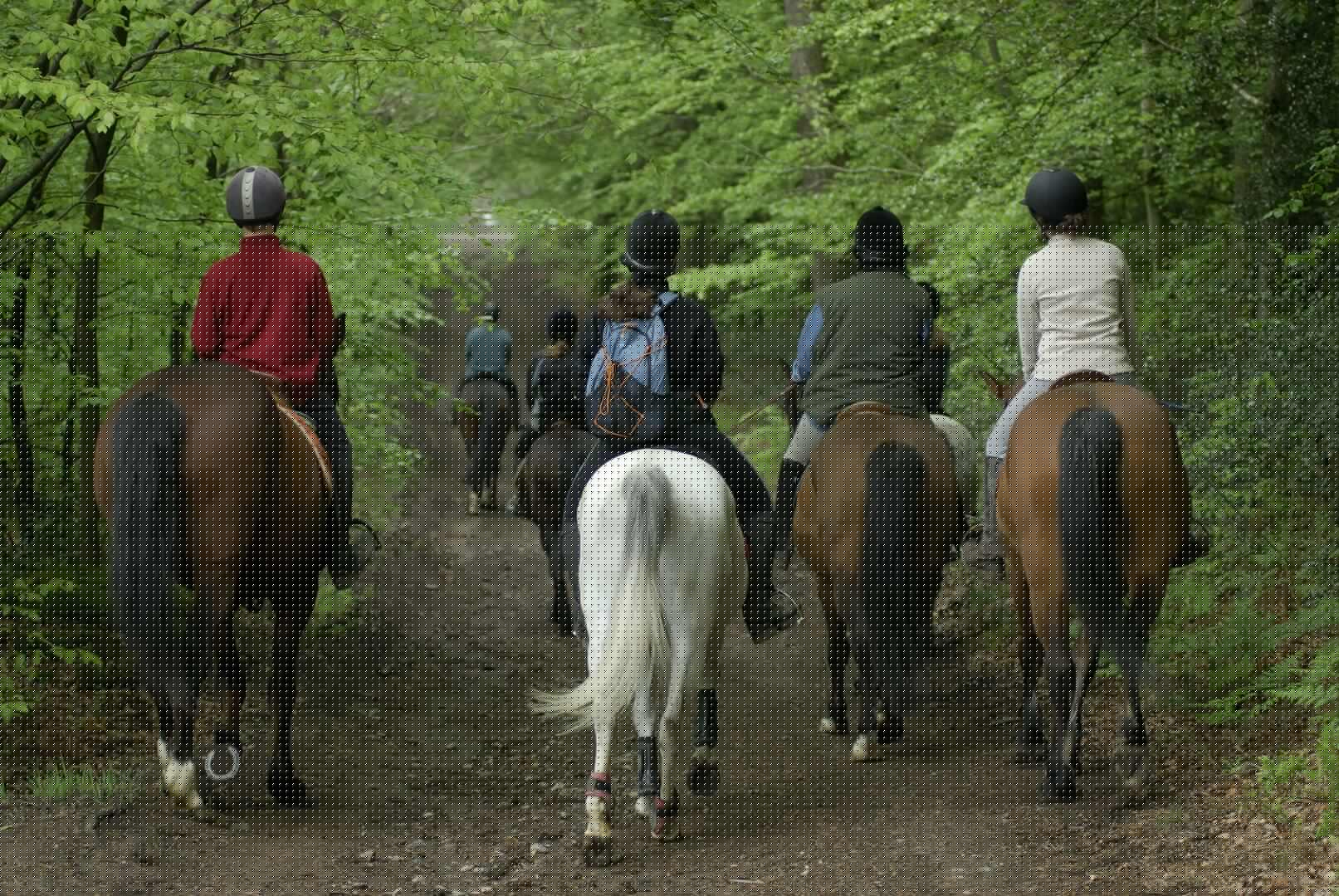 Perseigne RandoCheval. 02