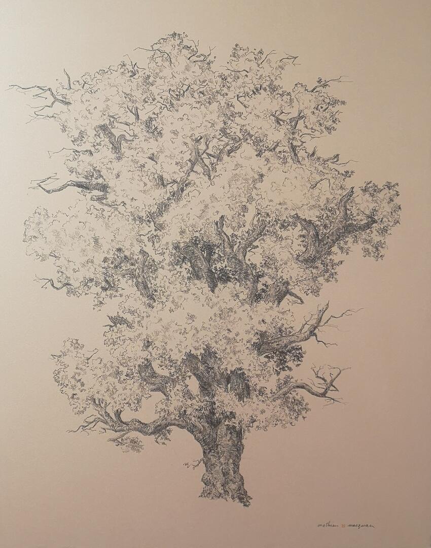 Silhouette de Chêne