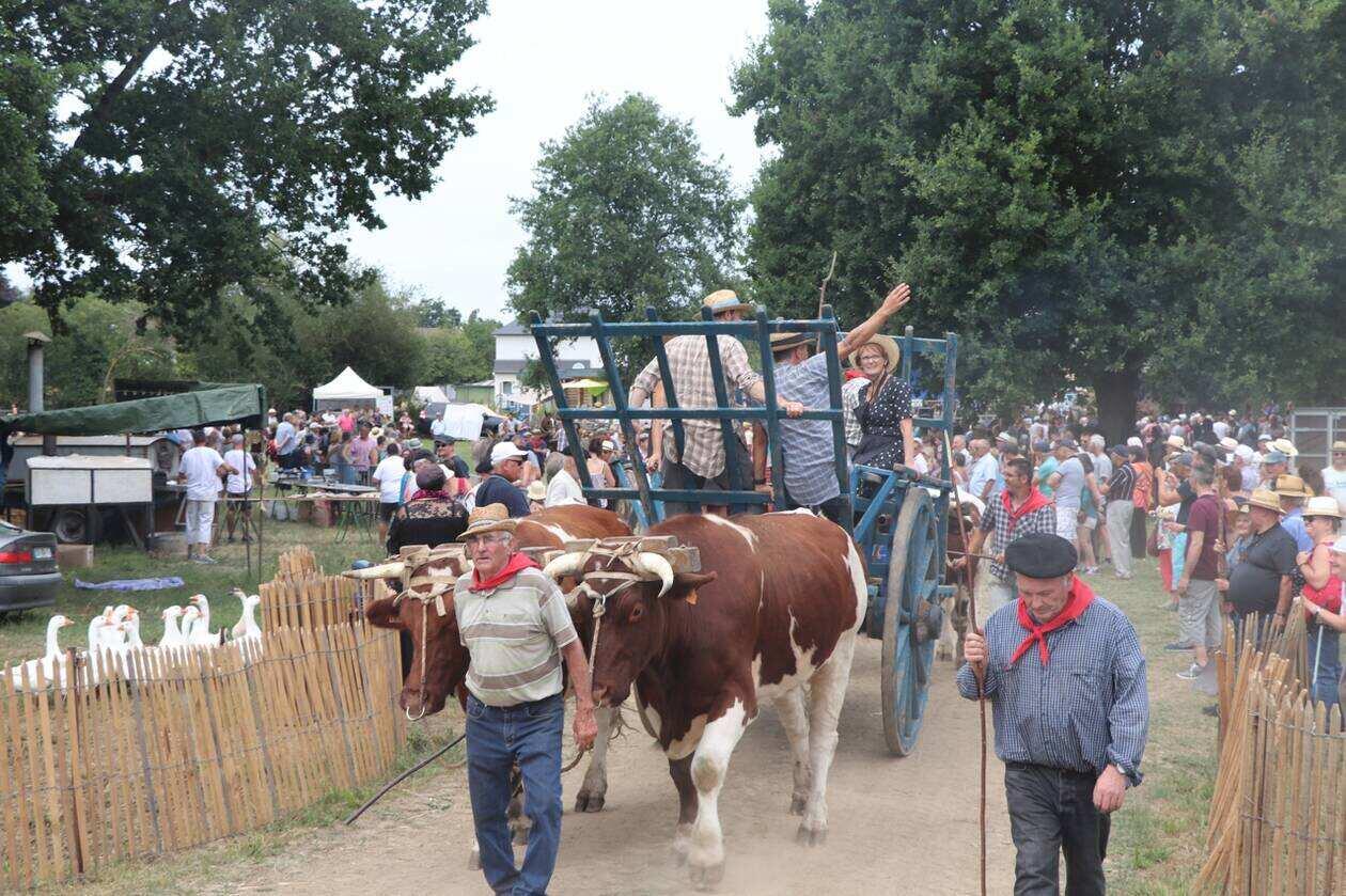 Fêtes de la Moisson