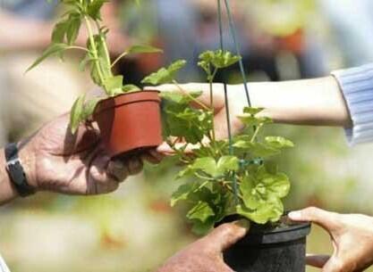 Troc-Plantes-Paulx-44-fma-2