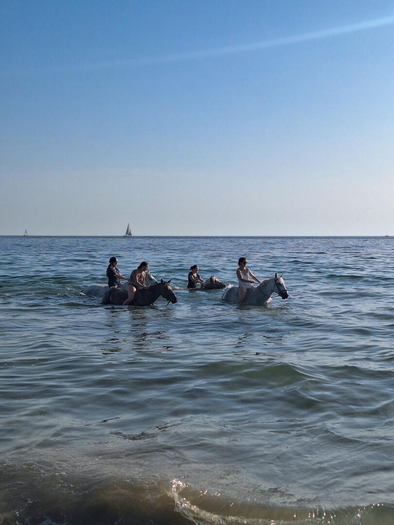 Baignade à cheval