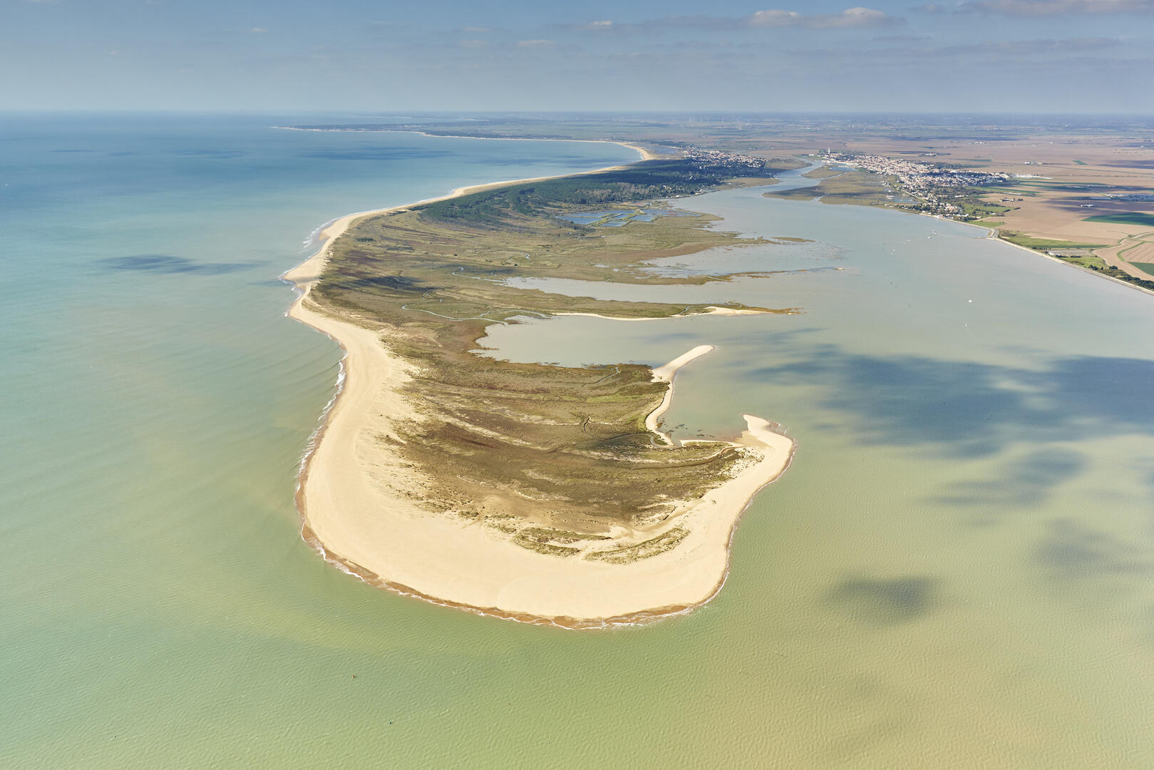 Réserve Pointe d'Arçay-La Faute-sur-Mer- Vue aérienne de la Pointe d'Arçay