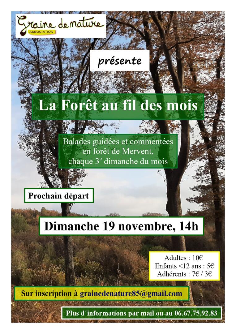 Afifche Novembre