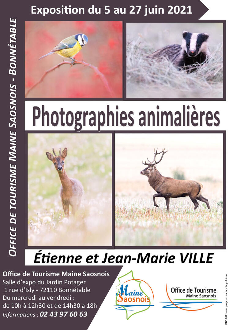 affiche exposition frères VILLE