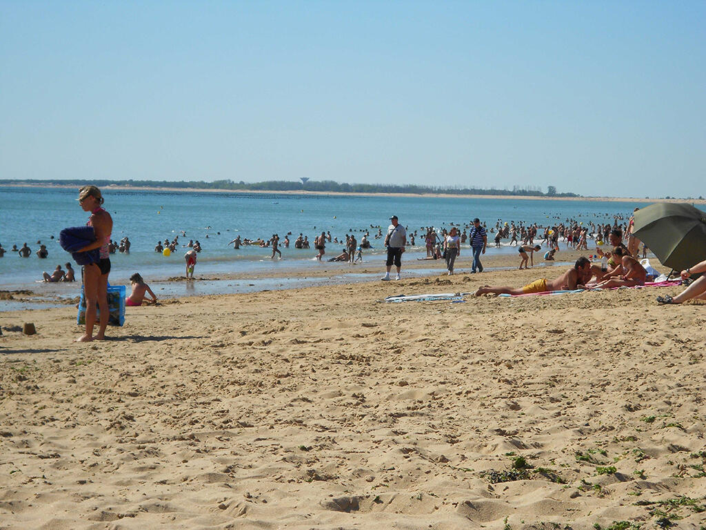PLAGE DES CHARDONS-L'AIGUILLON-LA-PRESQU'ILE-Vue plage de sable et baigneurs