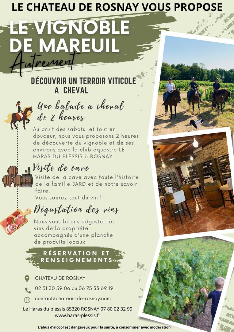 Green Travel Agency Flyer - 1