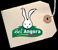 bel-angora-corcoue-sur-logne-44-deg-1