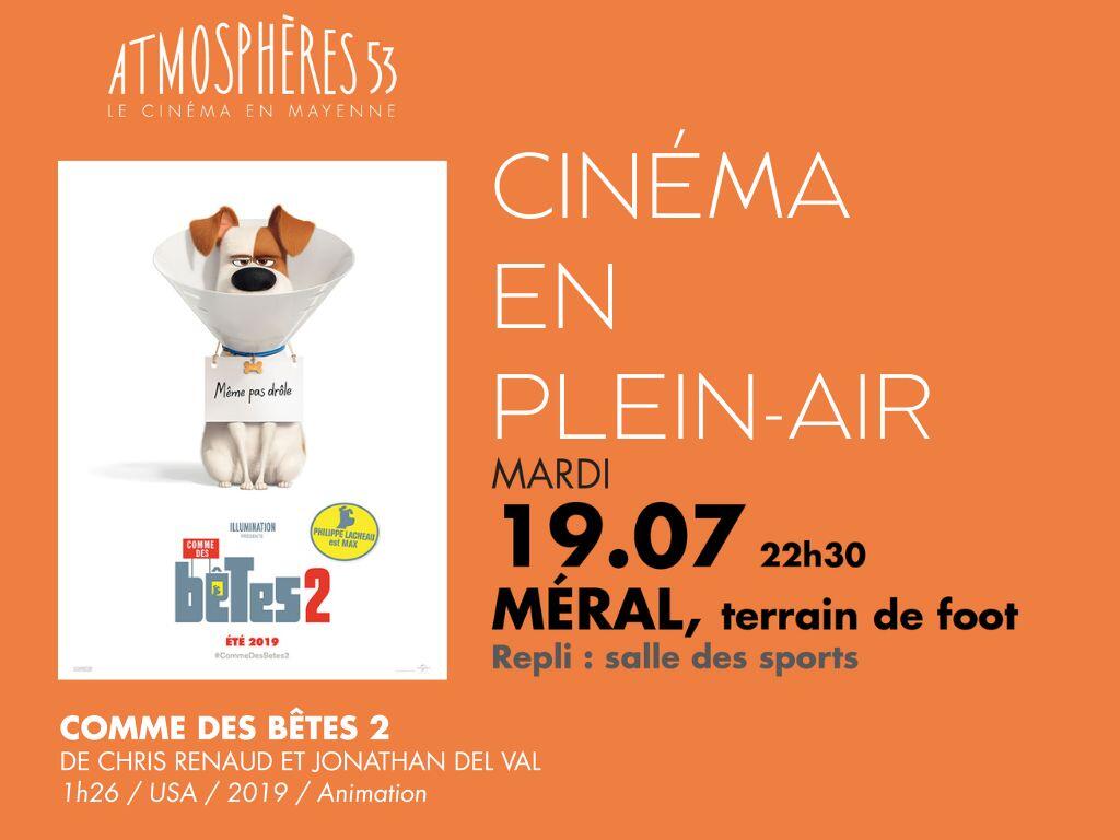 cine-plein-air-comme-des-betes-2