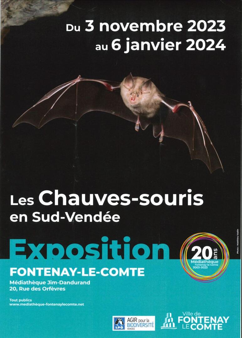expo chauve souris