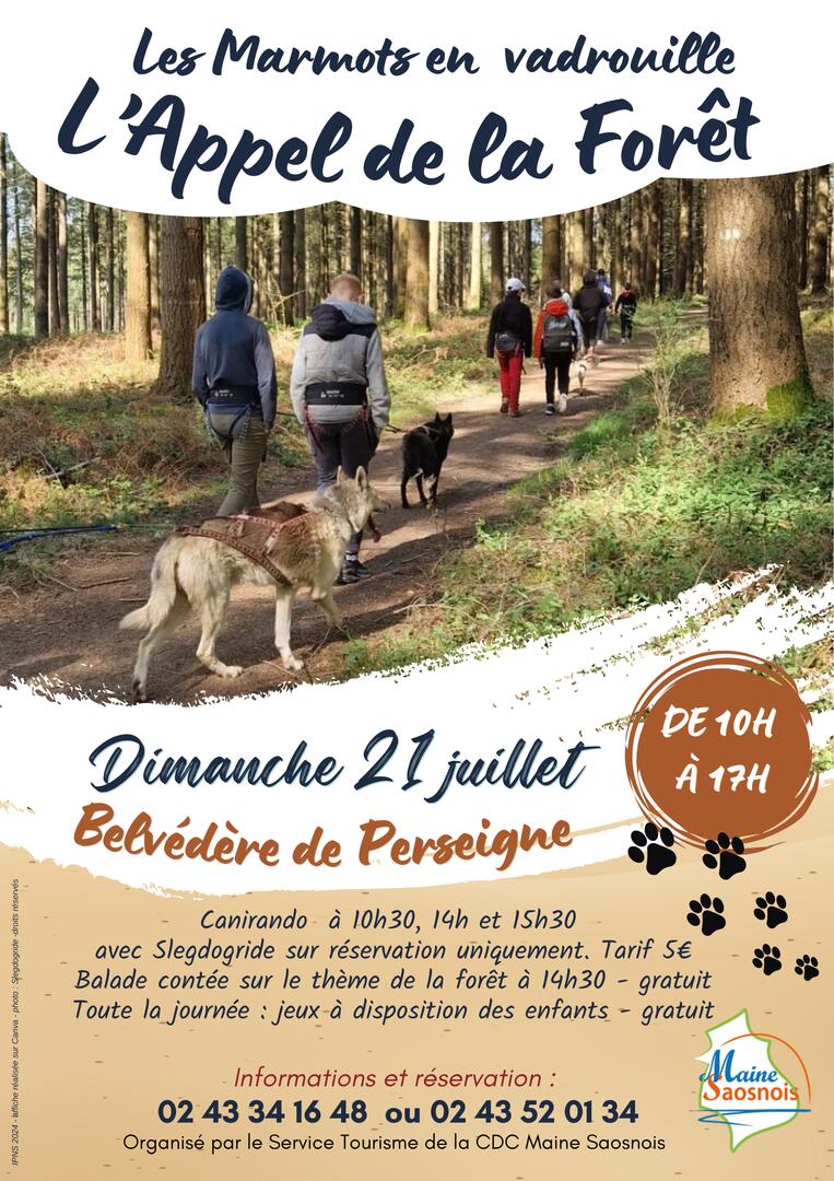 l'appel de la forêt - 1