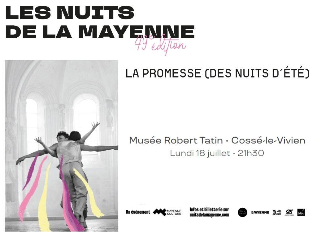 la-promesse-d-une-nuit-d-ete