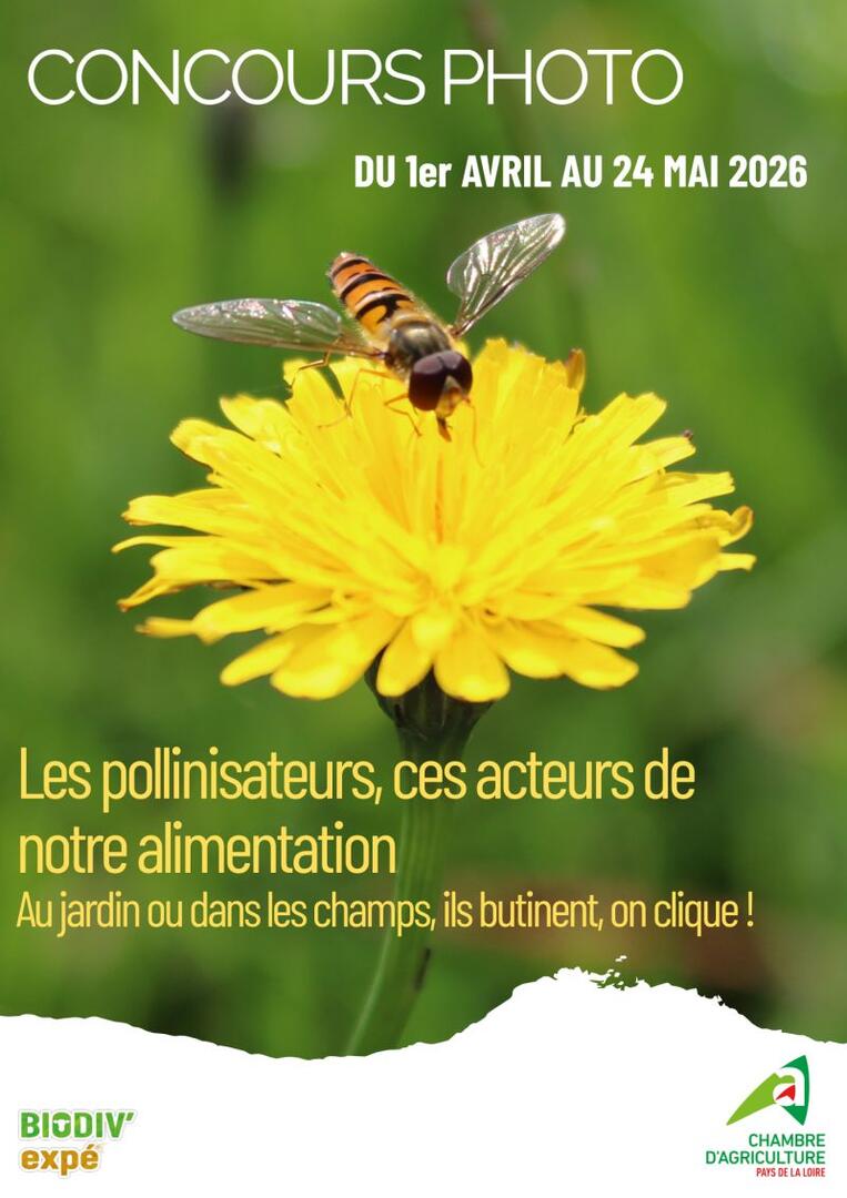 Concours photo polinisateurs 2026 - Segré - FMA - 49