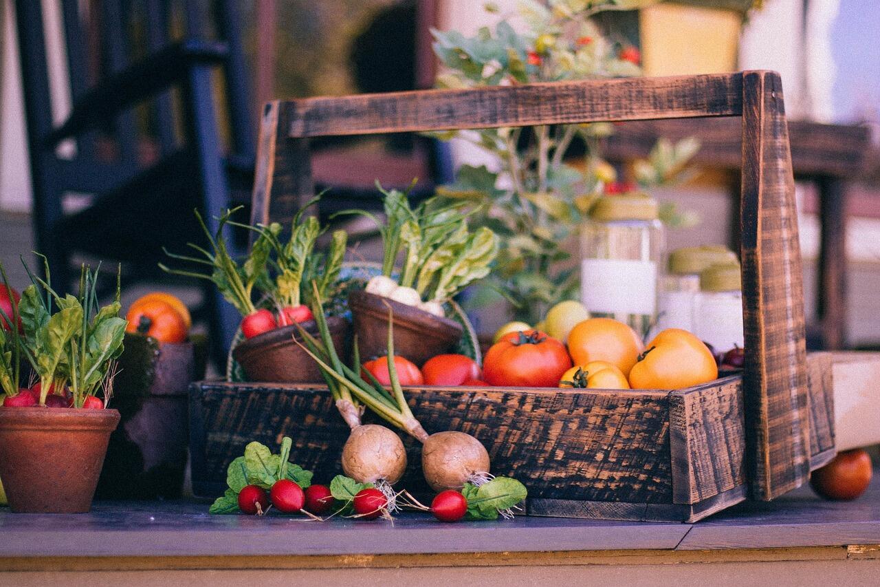 publicdomainarchive-vegetable-basket-349667_1280