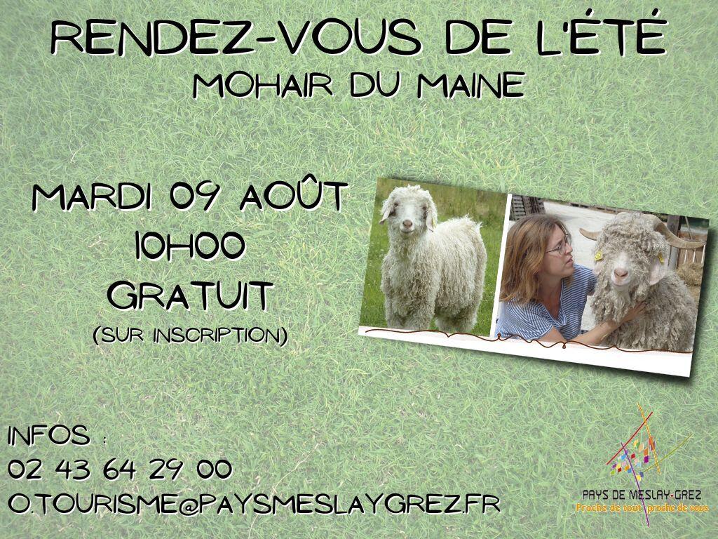 rdv-ete-mohair-du-maine