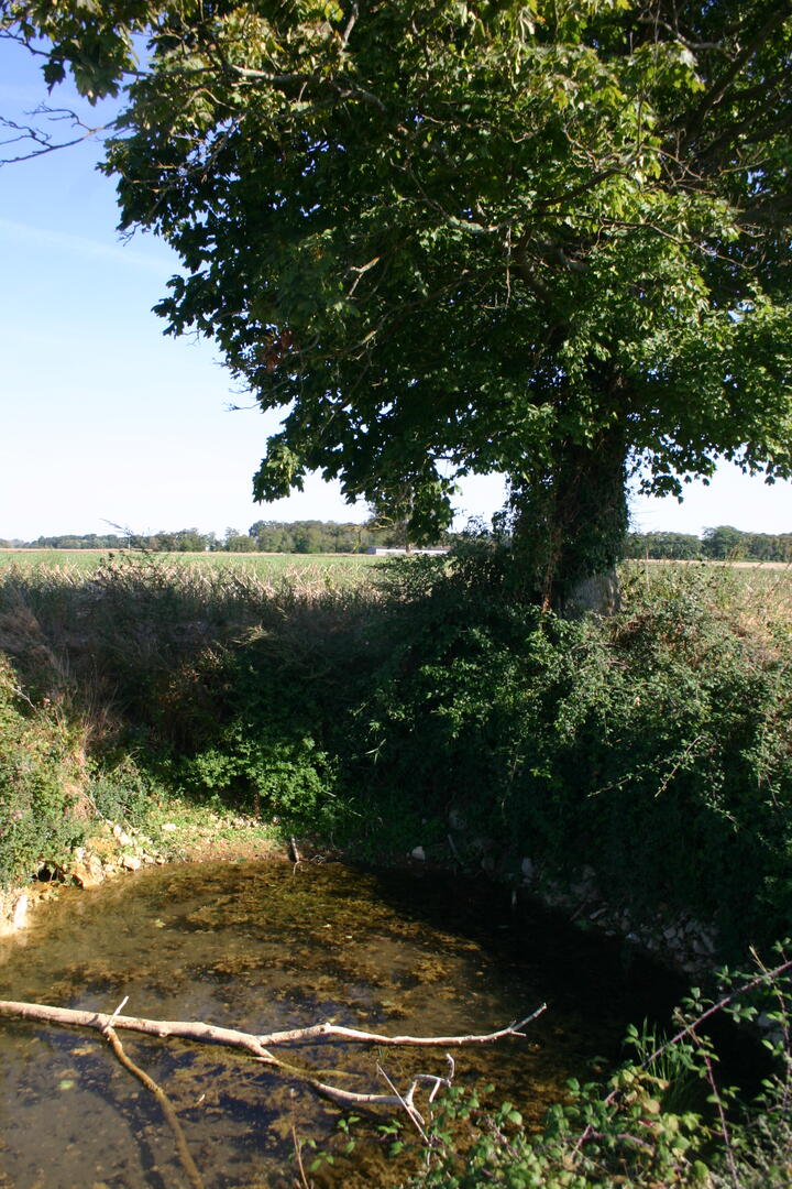 Vezieres