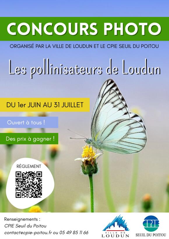 concours_photo