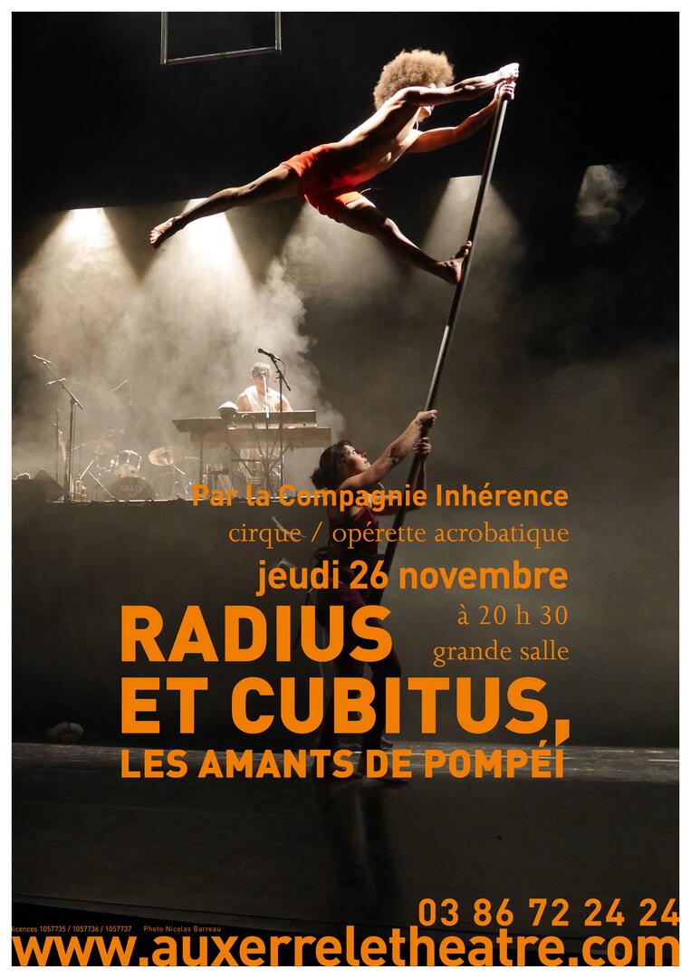 Affiche A3 Radius et Cubitus