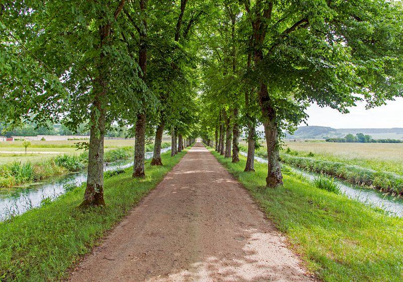 Alain_DOIRE__Bourgogne-Franche-Comte_Tourisme-BFC_0013971