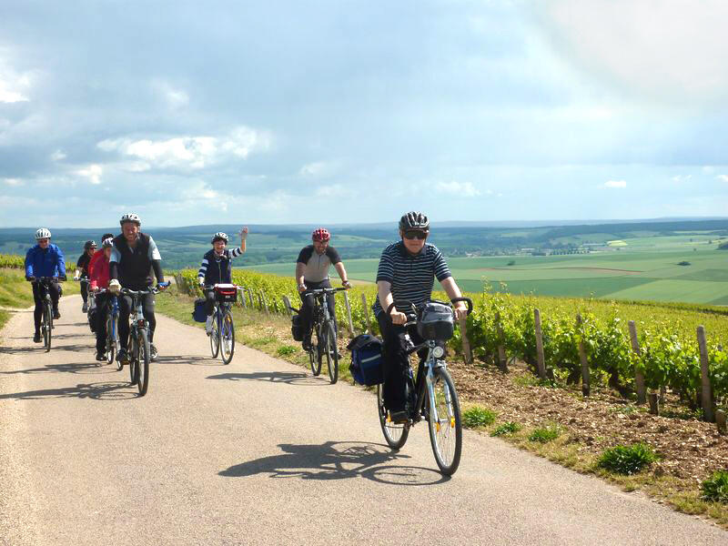 Cyclistes vigne